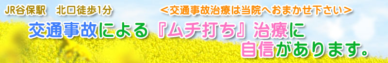 国立市 立川市 府中市 交通事故治療 むち打ち治療
