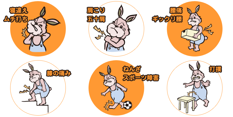 寝違え,ムチ打ち,肩こり,五十肩,腰痛,ギックリ腰,膝の痛み,ねんざ,スポーツ障害,打撲