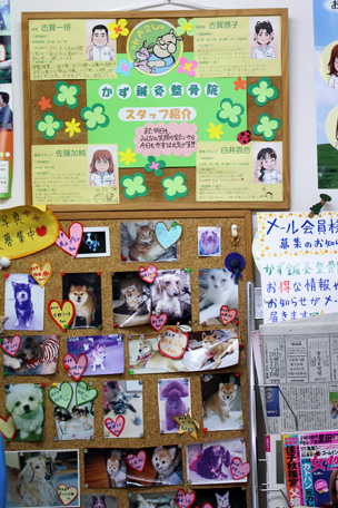 かず鍼灸整骨院