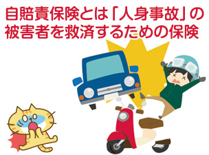 自賠責保険